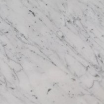 Zen 4 in. x 4 in. Marble Top Sample in Carrara White