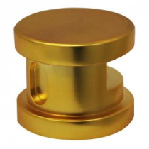 2 in. Steam Head with Aromatherapy Reservoir in Polished Brass