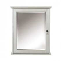 Newport 24 in. W x 28 in. H Mirrored Wall Cabinet in Pewter