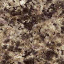 4 in. Quadro Granite Sample Chip