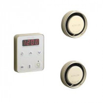 Fast Response Wall-Mount Steam Bath Generator Control Kit in Vibrant French Gold