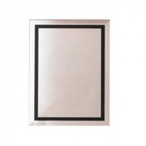 22 in. W x 30 in. H x 5 in. D Surface-Mount Mirrored Medicine Cabinet in Black